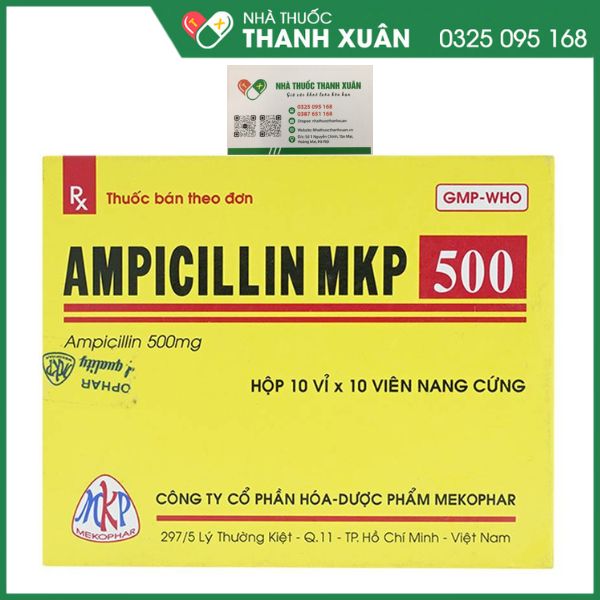 Ampicillin MKP 500 - Điều trị các trường hợp nhiễm khuẩn